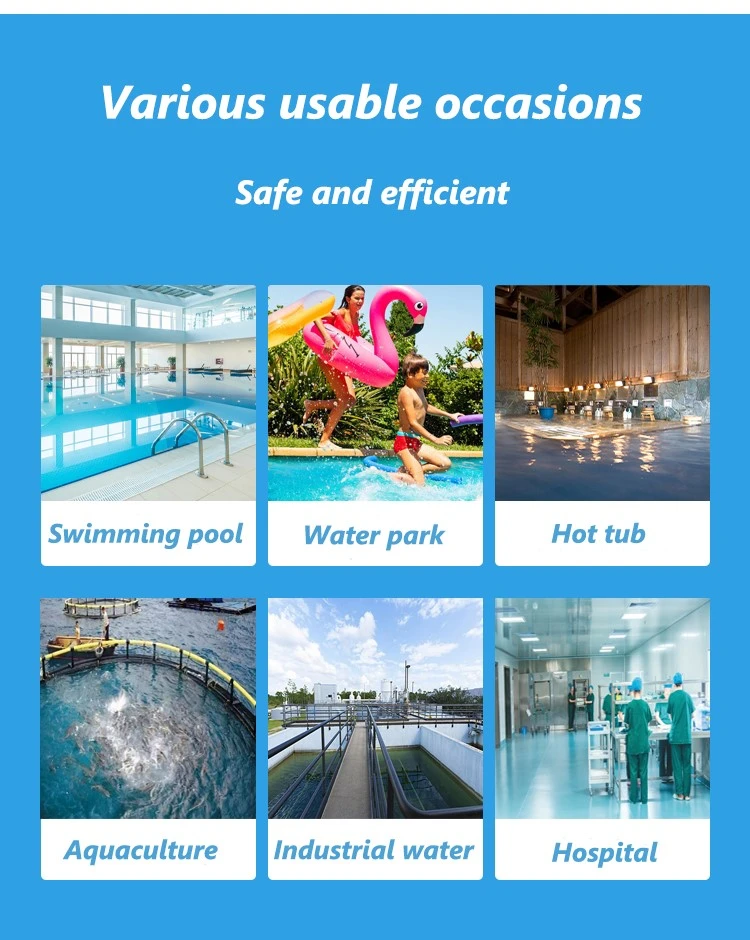 Effervescent Chlorine Tablets for Quick and Effective Water Purification