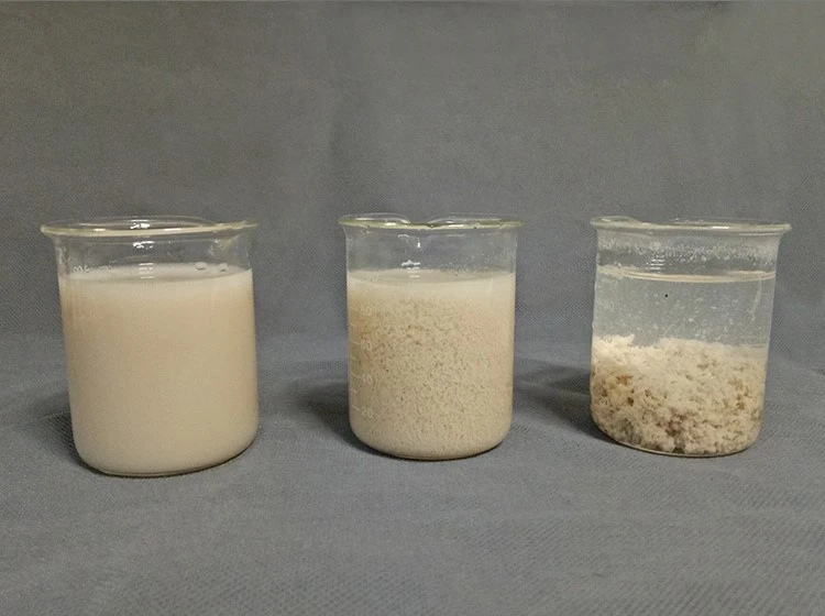 Cationic Polyacrylamide Powder Highly Effective Flocculant for Water Treatment and Industrial Processes (4)